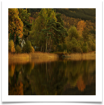 5_Reflection - Chris Beesely